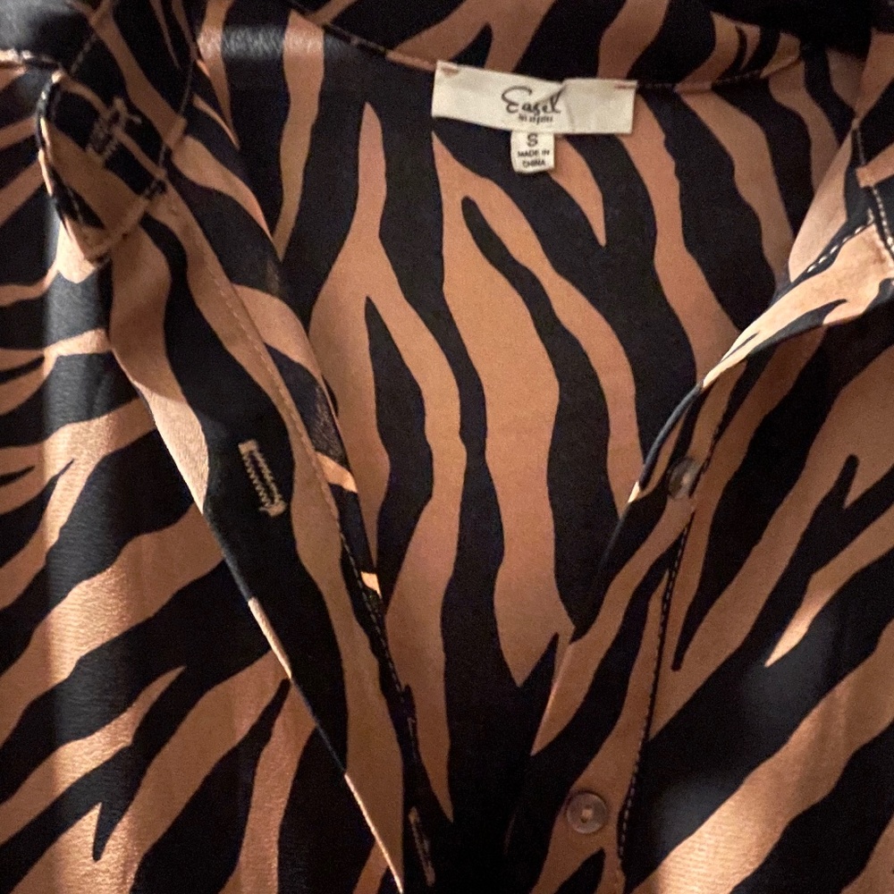 Zebra Easel Dress